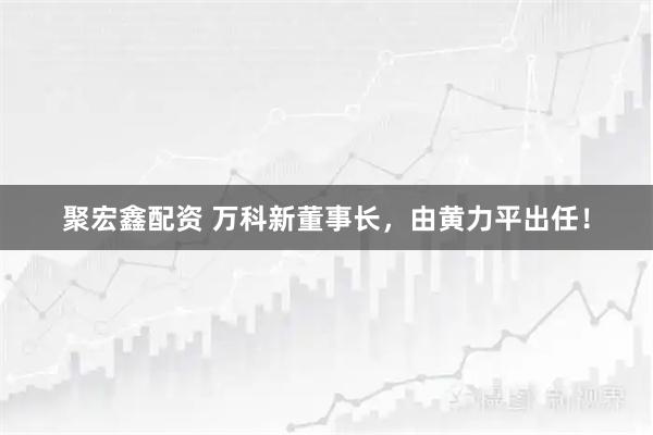 聚宏鑫配资 万科新董事长，由黄力平出任！