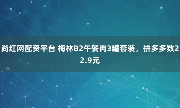 尚红网配资平台 梅林B2午餐肉3罐套装，拼多多数22.9元