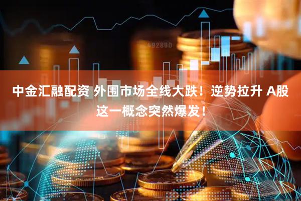 中金汇融配资 外围市场全线大跌！逆势拉升 A股这一概念突然爆发！