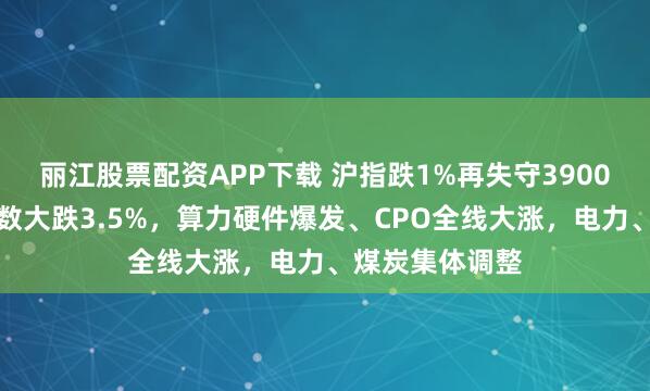 丽江股票配资APP下载 沪指跌1%再失守3900点，微盘股指数大跌3.5%，算力硬件爆发、CPO全线大涨，电力、煤炭集体调整