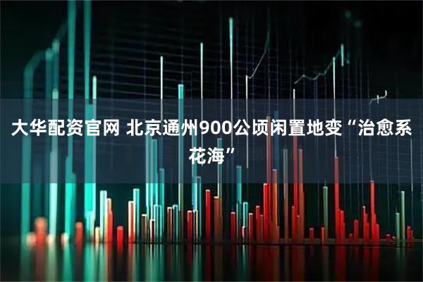 大华配资官网 北京通州900公顷闲置地变“治愈系花海”